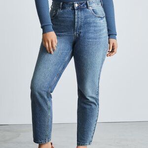 NWT The '90s Cheeky Hourglass Jean - Everlane